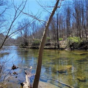 Photo #3 of 3063 Hart, Lawsonville, NC 55.0 acres