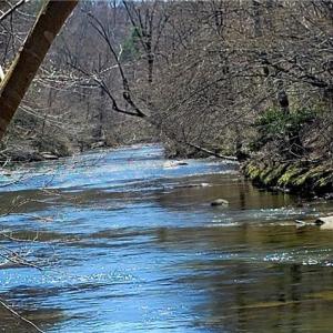 Photo #36 of 3063 Hart, Lawsonville, NC 55.0 acres