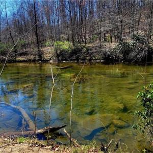 Photo #9 of 3063 Hart, Lawsonville, NC 55.0 acres