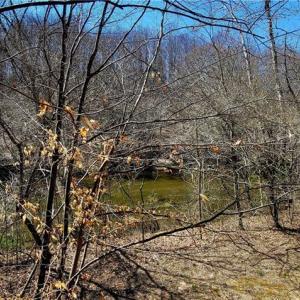 Photo #38 of 3063 Hart, Lawsonville, NC 55.0 acres