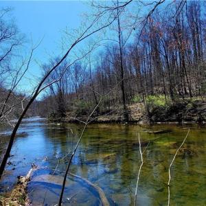 Photo #33 of 3063 Hart, Lawsonville, NC 55.0 acres