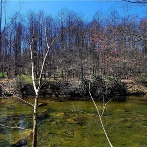 Photo #15 of 3063 Hart, Lawsonville, NC 55.0 acres
