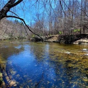 Photo #11 of 3063 Hart, Lawsonville, NC 55.0 acres