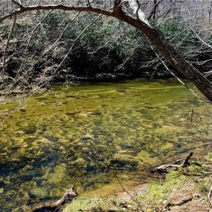 Photo #40 of 3063 Hart, Lawsonville, NC 55.0 acres