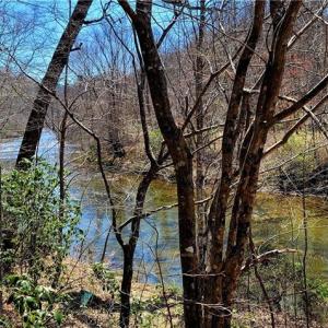 Photo #35 of 3063 Hart, Lawsonville, NC 55.0 acres
