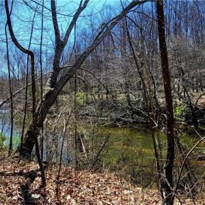 Photo #39 of 3063 Hart, Lawsonville, NC 55.0 acres