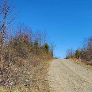 Photo #8 of 3063 Hart, Lawsonville, NC 55.0 acres