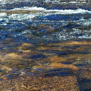 Photo #17 of 3063 Hart, Lawsonville, NC 55.0 acres