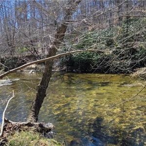 Photo #43 of 3063 Hart, Lawsonville, NC 55.0 acres