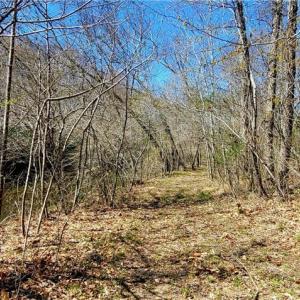 Photo #22 of 3063 Hart, Lawsonville, NC 55.0 acres