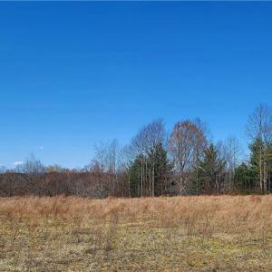 Photo #7 of 3063 Hart, Lawsonville, NC 55.0 acres