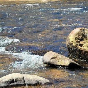 Photo #36 of 3063 Hart, Lawsonville, NC 55.0 acres