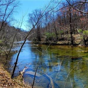Photo #1 of 3063 Hart, Lawsonville, NC 55.0 acres