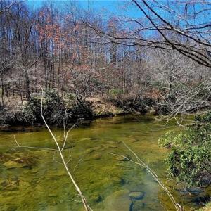 Photo #34 of 3063 Hart, Lawsonville, NC 55.0 acres