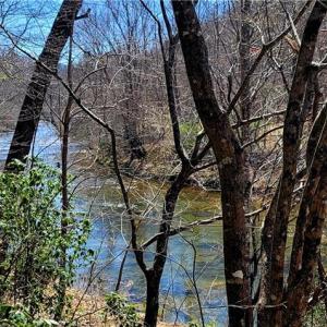 Photo #38 of 3063 Hart, Lawsonville, NC 55.0 acres