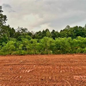 Photo #10 of 3063 Hart, Lawsonville, NC 55.0 acres