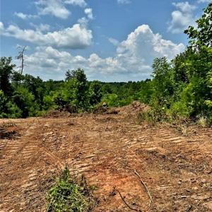 Photo #11 of 3063 Hart, Lawsonville, NC 55.0 acres