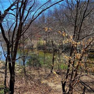 Photo #19 of 3063 Hart, Lawsonville, NC 55.0 acres