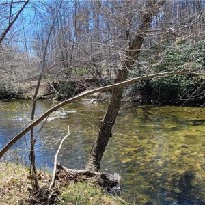 Photo #44 of 3063 Hart, Lawsonville, NC 55.0 acres