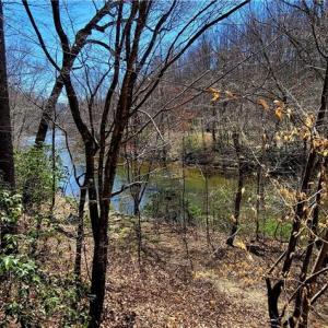 Photo #35 of 3063 Hart, Lawsonville, NC 55.0 acres