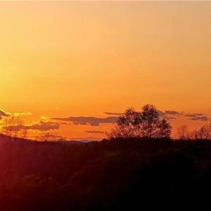 Photo #8 of 3063 Hart, Lawsonville, NC 55.0 acres