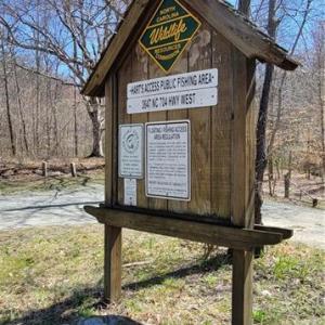 Photo #21 of 3063 Hart, Lawsonville, NC 55.0 acres