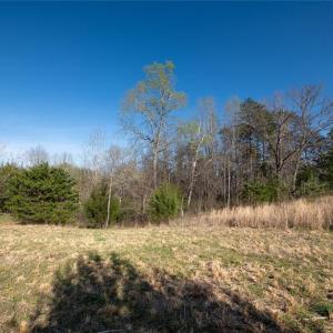Photo #2 of Lot 38 Lake Shore, Yanceyville, NC 4.6 acres