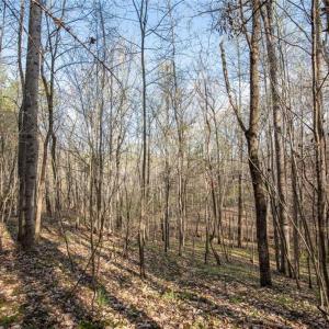 Photo #6 of Lot 38 Lake Shore, Yanceyville, NC 4.6 acres