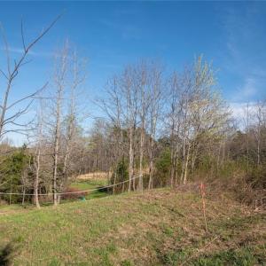 Photo #15 of Lot 38 Lake Shore, Yanceyville, NC 4.6 acres