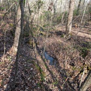 Photo #11 of Lot 38 Lake Shore, Yanceyville, NC 4.6 acres