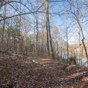 Photo #7 of Lot 38 Lake Shore, Yanceyville, NC 4.6 acres