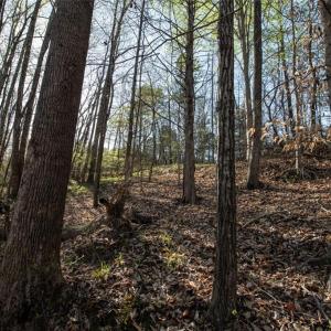 Photo #3 of Lot 38 Lake Shore, Yanceyville, NC 4.6 acres
