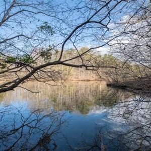 Photo #9 of Lot 38 Lake Shore, Yanceyville, NC 4.6 acres