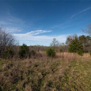 Photo #13 of Lot 38 Lake Shore, Yanceyville, NC 4.6 acres