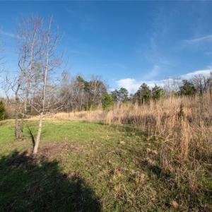 Photo #14 of Lot 38 Lake Shore, Yanceyville, NC 4.6 acres