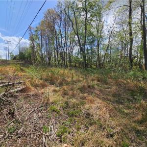 Photo #5 of xx NC Highway 8, Lawsonville, NC 0.5 acres