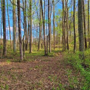 Photo #2 of 5095 Donna Marie, Walkertown, NC 0.9 acres