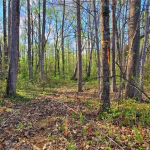 Photo #3 of 5095 Donna Marie, Walkertown, NC 0.9 acres