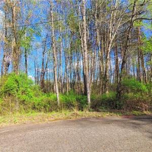 Photo #1 of 5095 Donna Marie, Walkertown, NC 0.9 acres