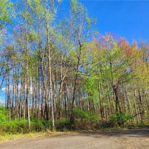 Photo #5 of 5095 Donna Marie, Walkertown, NC 0.9 acres