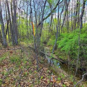 Photo #4 of 5095 Donna Marie, Walkertown, NC 0.9 acres