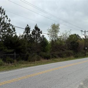 Photo #3 of 8485 Old Salisbury, Linwood, NC 8.8 acres
