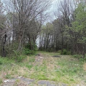 Photo #5 of 8485 Old Salisbury, Linwood, NC 8.8 acres