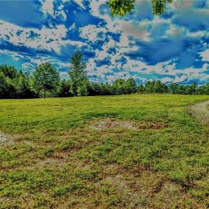 Photo #12 of 263 Lake Meadows, Reidsville, NC 5.3 acres