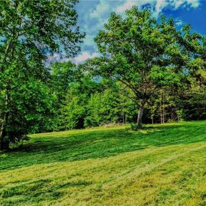 Photo #7 of 263 Lake Meadows, Reidsville, NC 5.3 acres