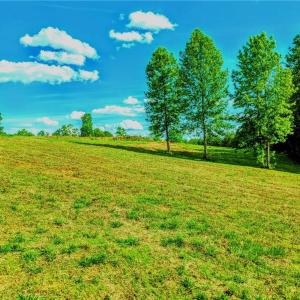 Photo #10 of 263 Lake Meadows, Reidsville, NC 5.3 acres