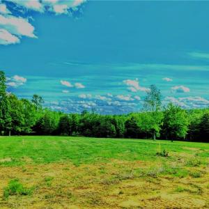 Photo #11 of 263 Lake Meadows, Reidsville, NC 5.3 acres