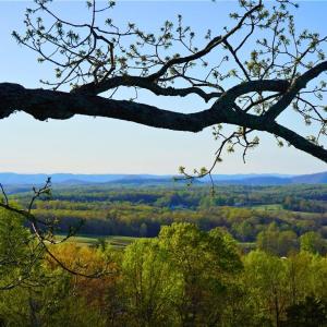 Photo #2 of 728 Indian, Henry, VA 19.8 acres