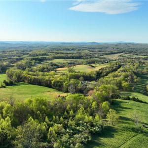 Photo #6 of 728 Indian, Henry, VA 19.8 acres