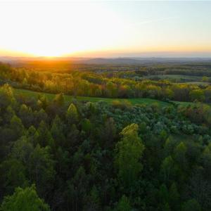 Photo #13 of 728 Indian, Henry, VA 19.8 acres